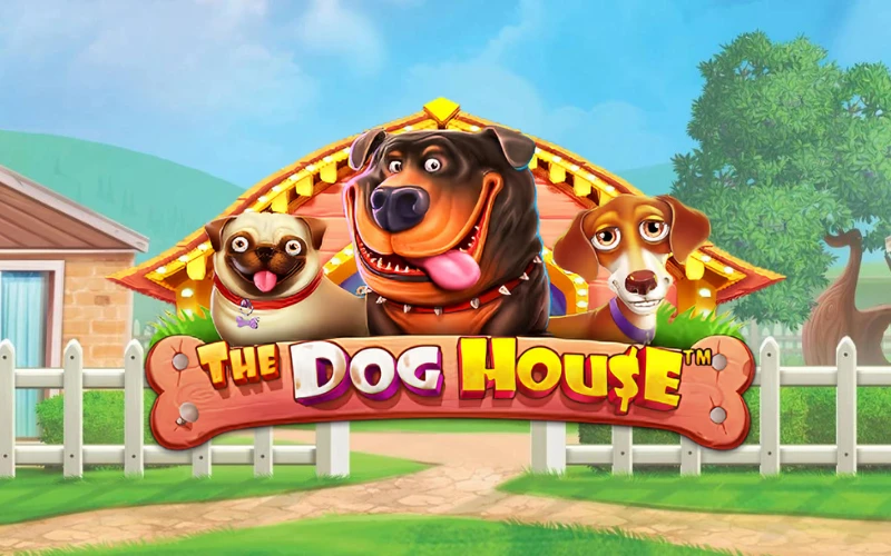 È possibile giocare al gioco The Dog House nel casinò online Quickwin.